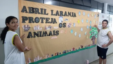 Foto - Divulgação - Governo de Goiás