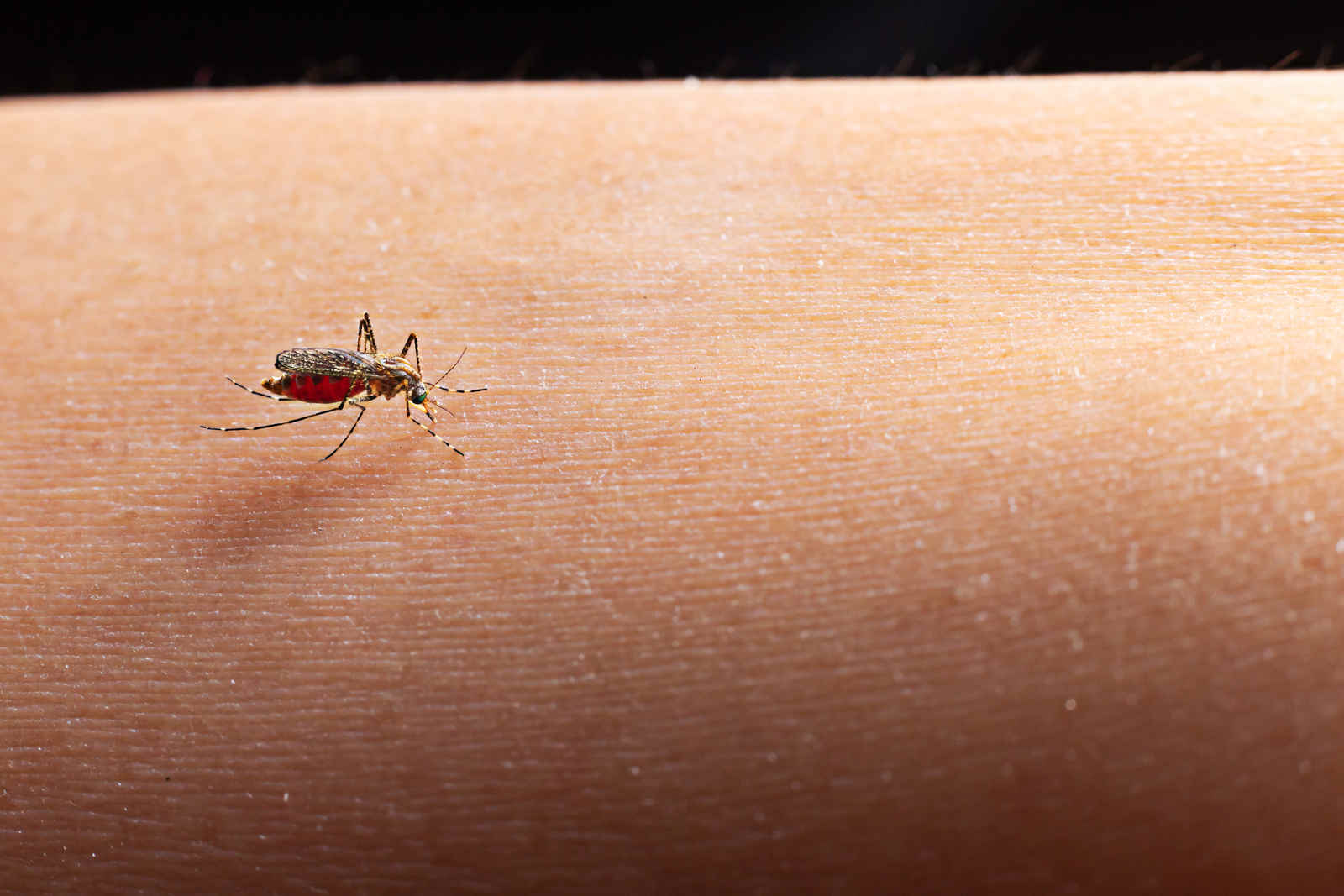 Saúde amplia vacinação contra dengue para evitar desperdício de doses próximas do vencimento